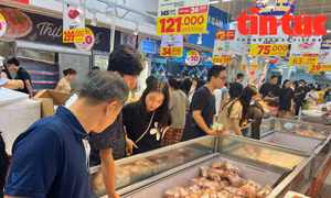 CPI tháng 9/2024 tăng 0,29% do giá lương thực, thực phẩm tăng cao sau bão lũ