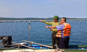 VKSND hai cấp tỉnh Quảng Ninh chủ động phát hiện, bảo vệ lợi ích công từ cơ sở.