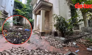 Cận cảnh biệt thự cựu Chủ tịch Hà Nội từng ở được bố trí làm trụ sở Viện Văn học