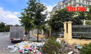 Trụ sở Thi hành án dân sự Hà Nội nhếch nhác vì rác thải