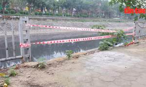 Thay đổi rõ nét bên bờ sông Tô Lịch sau phản ánh của báo Tin tức
