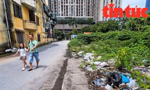 Đất quy hoạch làm trường học tại Hà Nội bị bỏ hoang, đổ trộm rác thải