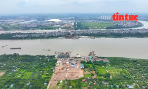 Toàn cảnh dự án cầu Tứ Liên cùng Trục đại lộ cảnh quan sông Hồng