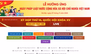 Cổng Pháp luật quốc gia ra mắt phiên bản mới ngày 7/11