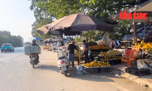 Tiểu thương căng ô dù 'lập chợ' trên Đại lộ Thăng Long