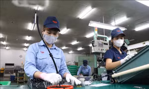Giải ngân 11,72 tỷ USD vốn FDI trong 6 tháng 2025, cao nhất 5 năm qua