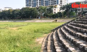 Hà Nội chủ động phòng, chống sa mạc hóa