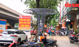 Biển quảng cáo và xe cộ bủa vây các giàn hoa trang trí đô thị
