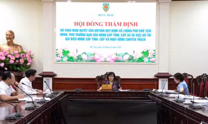 Đề xuất quy định mới về số lượng cấp phó HĐND các cấp