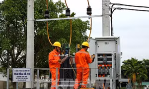 CPI tháng 5 tăng 0,05% do giá điện sinh hoạt, giá thịt lợn tăng