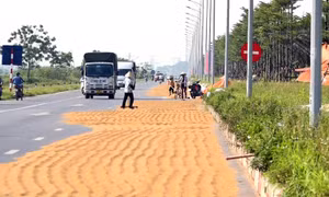 Phơi thóc, rơm rạ chiếm lòng đường gây tai nạn có thể bị xử lý hình sự