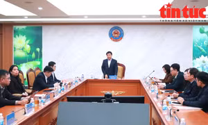 Đẩy nhanh tiến độ công bố số liệu Tổng điều tra kinh tế năm 2026 sớm 7 tháng