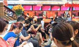 Giá vàng trong tháng 5/2024 tăng 32,18% so với cùng kỳ năm trước