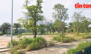 Công viên hồ điều hòa rộng gần 12 ha ở Hà Nội bị bỏ hoang