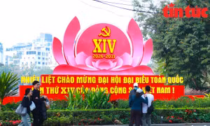 7 nhiệm vụ pháp luật trọng tâm triển khai Nghị quyết Đại hội XIV của Đảng