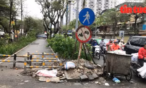 Vắng vẻ, nhếch nhác tại những làn đường dành riêng cho người đi bộ, xe đạp ở Hà Nội