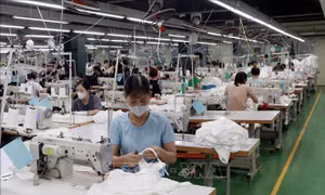 Thu nhập bình quân của người lao động trong quý III/2024 đạt 7,6 triệu đồng/tháng