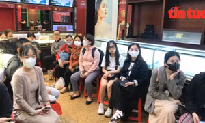 Giá vàng đồng loạt lập đỉnh, người dân xếp hàng dài chờ giao dịch