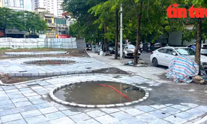 Vườn hoa, cây xanh dần hình thành trên 'đất vàng' bỏ hoang nhiều năm ở Hà Nội