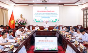 Hoàn thiện pháp luật Việt Nam trong kỷ nguyên mới