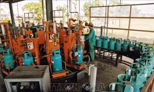 Giá gas bán lẻ trong nước tháng 3/2024 tiếp tục tăng kể từ hôm nay