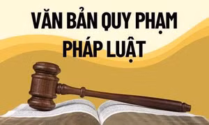 Hoàn thiện nội dung các chính sách, khẩn trương xây dựng hồ sơ dự án Luật về văn bản quy phạm pháp luật