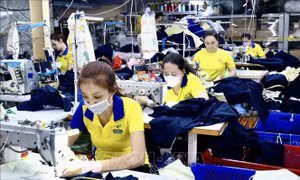 Dự báo thời kỳ dân số vàng của Việt Nam sẽ kết thúc vào năm 2036