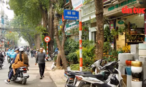 Cận Tết, phố cây cảnh lớn nhất Hà Nội 'mất' vỉa hè 