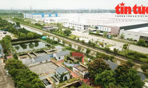 Kỳ vọng một luật sửa bốn luật liên quan đến đầu tư kinh doanh