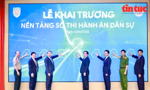 Cụ thể hóa các nghị quyết trụ cột, thúc đẩy chuyển đổi số toàn diện