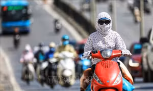 Diễn biến nắng nóng trên đất liền, áp thấp nhiệt đới trên biển