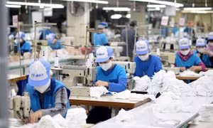 Gần 66% người nghỉ hưu nhận mức lương hưu tối đa