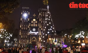 Giới trẻ thích thú 'check-in' cây thông Noel khổng lồ trước thềm Giáng sinh