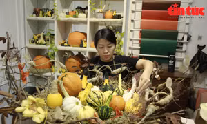 Bí ngô tiền triệu hút khách dịp Halloween