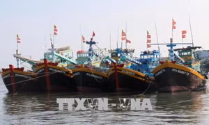 Xử lý nghiêm chủ tàu, thuyền trưởng không bật thiết bị giám sát hành trình 