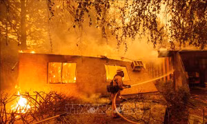Hàng chục người chết và mất tích trong vụ cháy rừng ở California, Mỹ