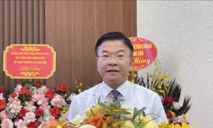 Phó Thủ tướng Lê Thành Long: Tiếp tục khẳng định vai trò của Hội đồng Hòa bình và Phát triển Việt Nam