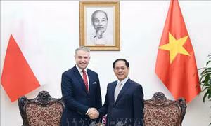 Phó Thủ tướng Chính phủ Bùi Thanh Sơn tiếp Phó Thủ tướng, Bộ trưởng Kỹ thuật số Ba Lan Krzysztof Gawkowski