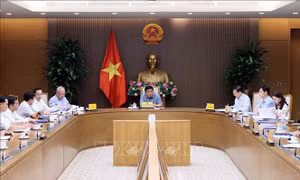 Giao nhiệm vụ chuẩn bị các điều kiện, triển khai nhanh các dự án phục vụ Hội nghị APEC 2027