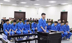 Phạt tù nhóm 'xã hội đen' lừa đảo, đánh bạc, buôn bán thận