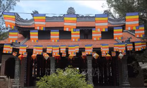 Huế rộn ràng mùa Phật đản