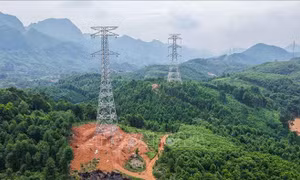 Xuất quân "tiếp sức" cho dự án đường dây 500kV Lào Cai - Vĩnh Yên