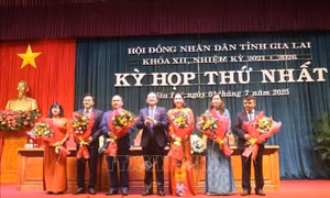 Khai thác tốt nhất nguồn lực xây dựng tỉnh Gia Lai ngày càng phát triển
