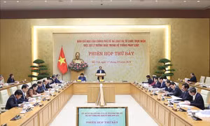 Phiên họp thứ 7 của Ban Chỉ đạo rà soát, xử lý vướng mắc trong hệ thống pháp luật