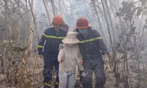 Giải cứu hai người mắc kẹt trên đỉnh núi trong vụ cháy rừng ở Quy Nhơn