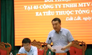 Đối thoại giải quyết khiếu nại tại 3 công ty cà phê lớn ở Đắk Lắk