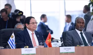 Thủ tướng Phạm Minh Chính nêu 5 đề xuất vì môi trường, y tế toàn cầu tại Hội nghị BRICS