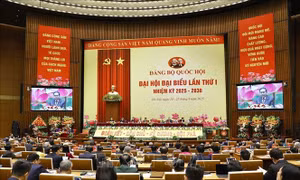 Tiến tới Đại hội XIV của Đảng: Đại hội đại biểu Đảng bộ Quốc hội lần thứ I