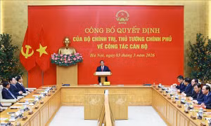 Thủ tướng Phạm Minh Chính trao Quyết định điều động, bổ nhiệm lãnh đạo Đảng ủy Chính phủ và 4 bộ, cơ quan