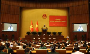 Tổng Bí thư, Chủ tịch nước Tô Lâm gặp mặt cán bộ quy hoạch diện Ban Bí thư quản lý